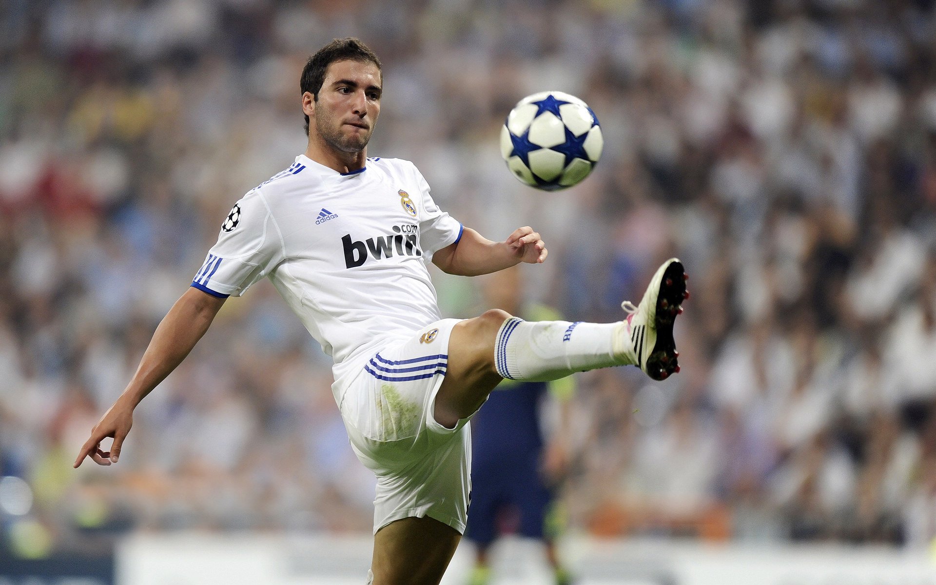 冷雨夜，狼嚎震天，当文班亚马在美加墨世界杯接管比赛，森林狼爆冷火箭的深层逻辑